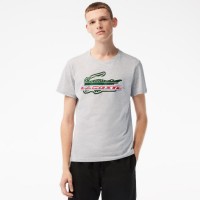 T-shirt Lacoste Sport Algodon Ecologico Grigio  Offerta + Economico