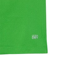 Polo Lacoste Daniil Medvedev Verde  Offerta + Economico