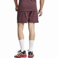 Pantaloncini Adidas Ergo Pro Aurora Rubi  Offerta + Economico