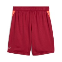 Pantaloncini Puma Single Rosso Scuro  Offerta + Economico